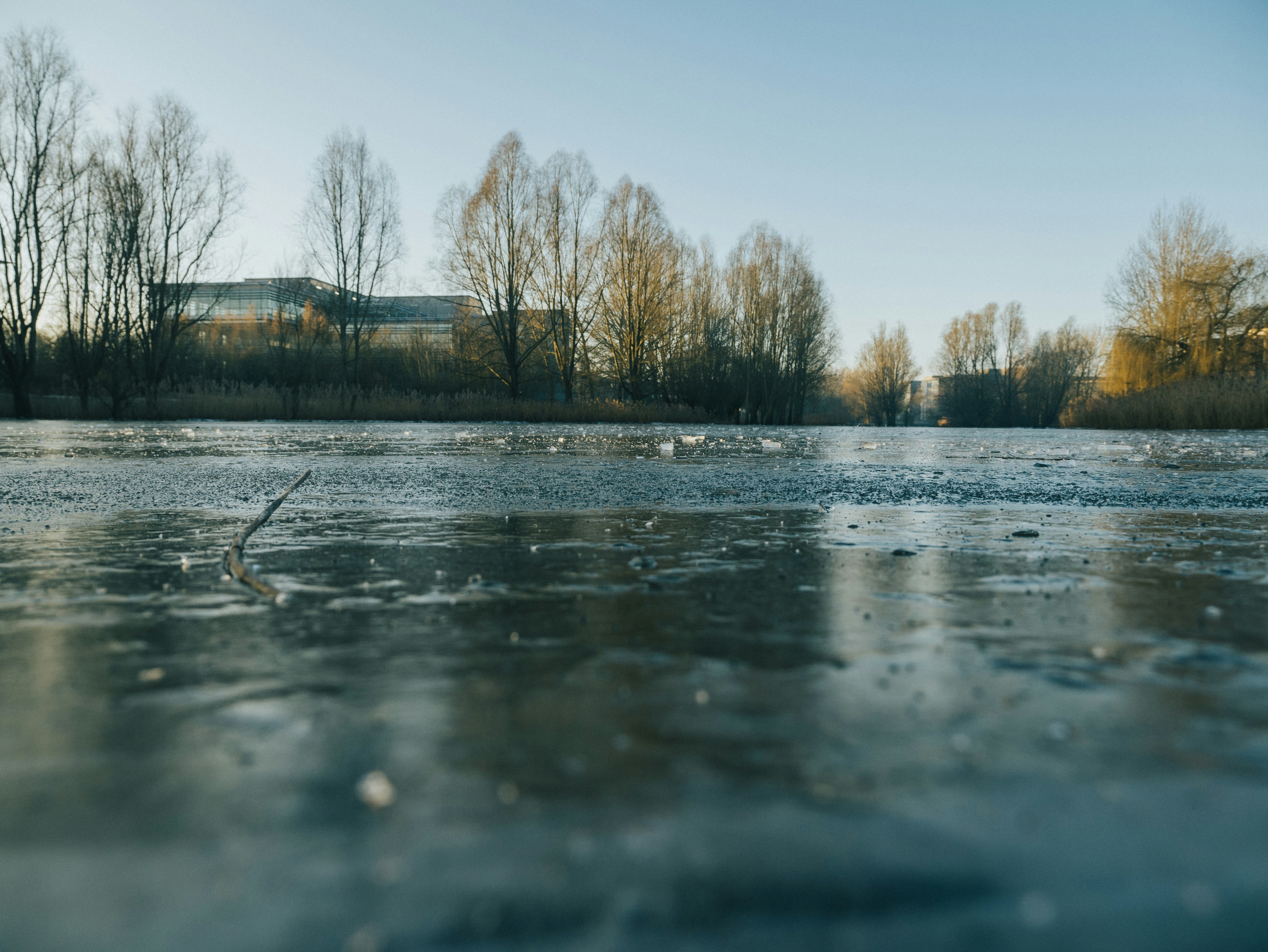 Weather-Proof Training